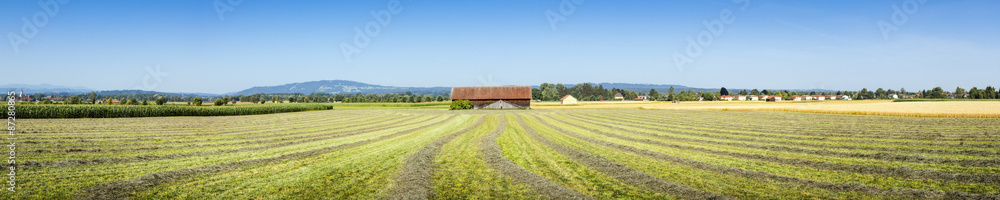 countryside