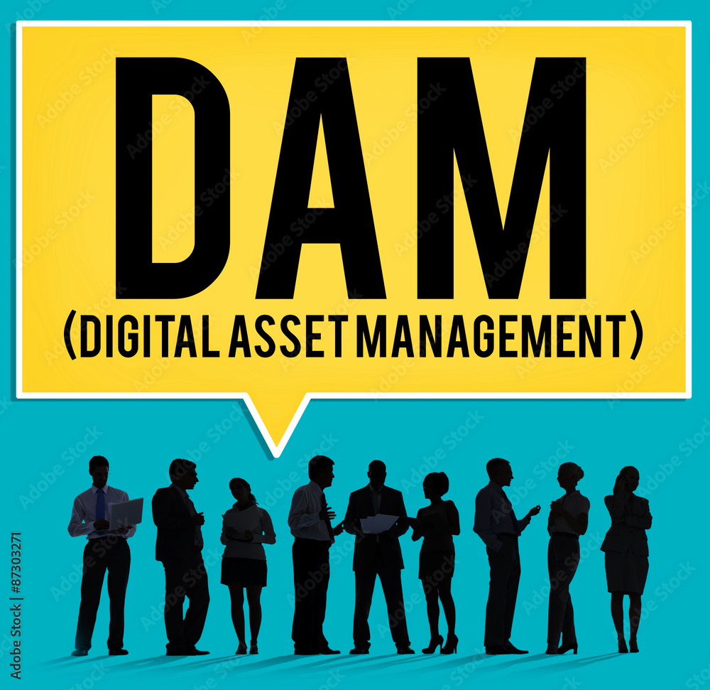 DAM Digital Asset Management Organization Concept