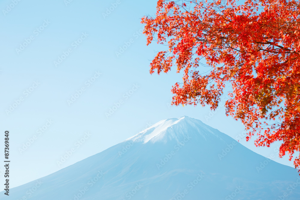 紅葉と富士山