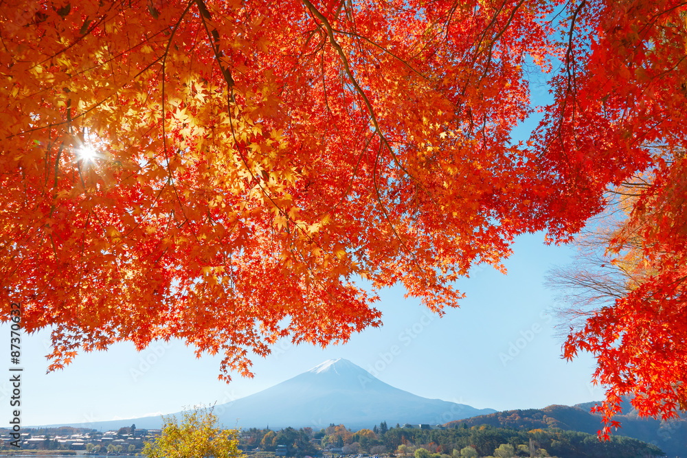 紅葉と富士山