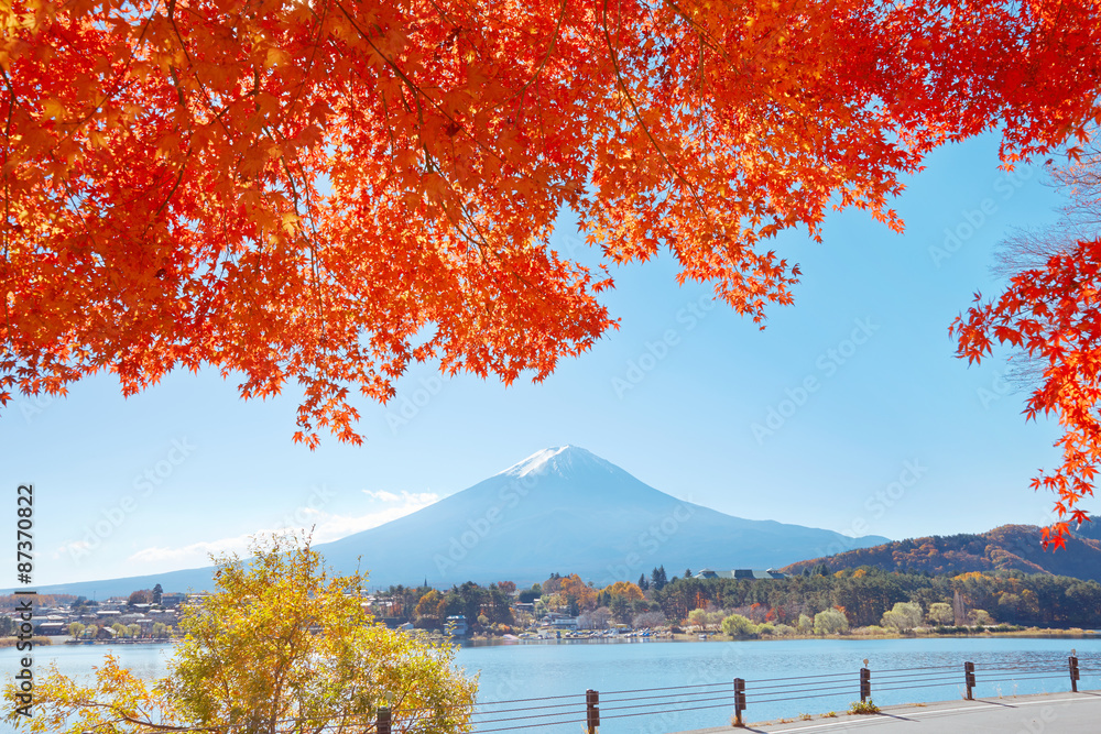 紅葉と富士山