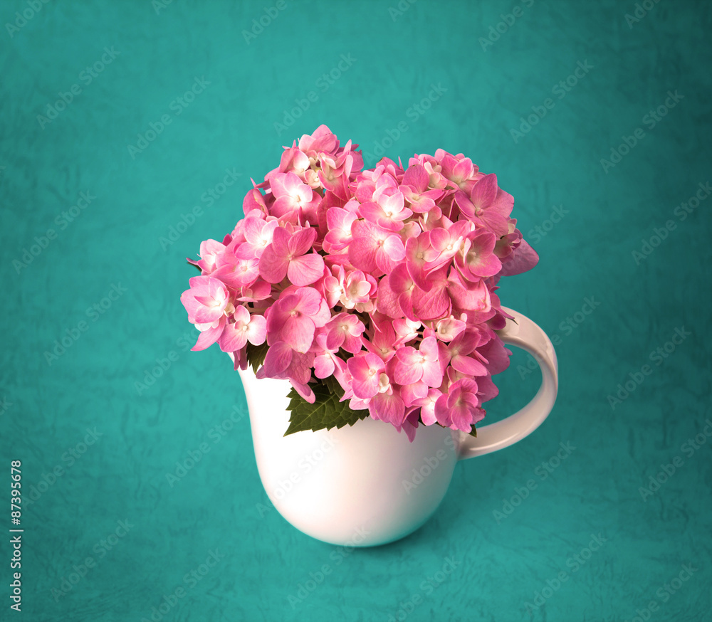 the sweet  hydrangea flowers in white vase