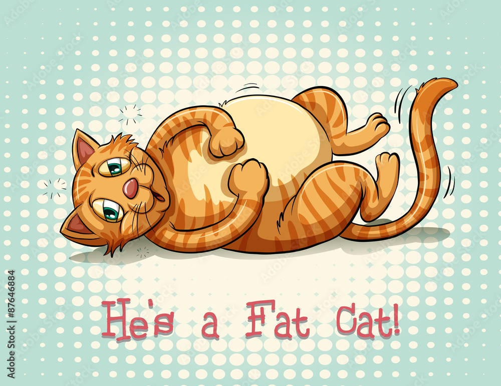 Fat cat