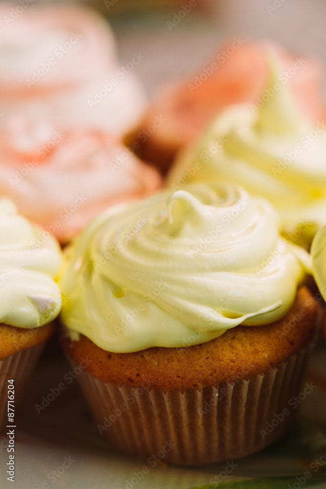 Dessert Sweet Gourmet Cupcakes With Multi-colored Frosting