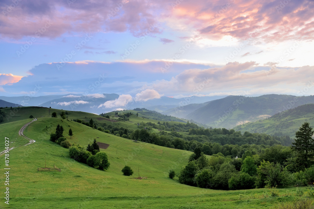 Beautiful summer landscape in the mountains