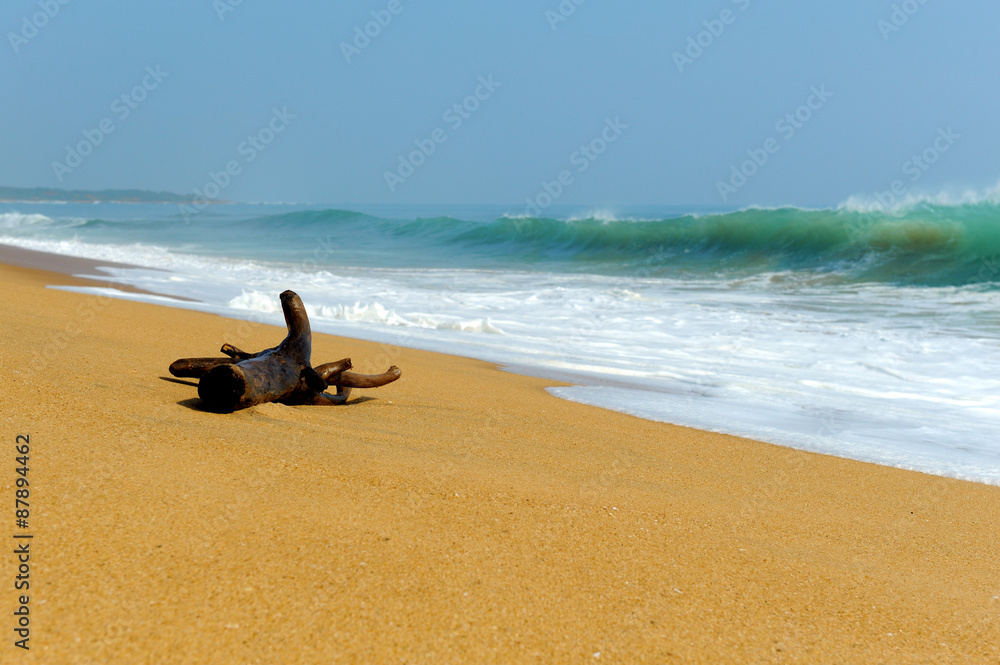 Branch is washed by waves on a tropical beach