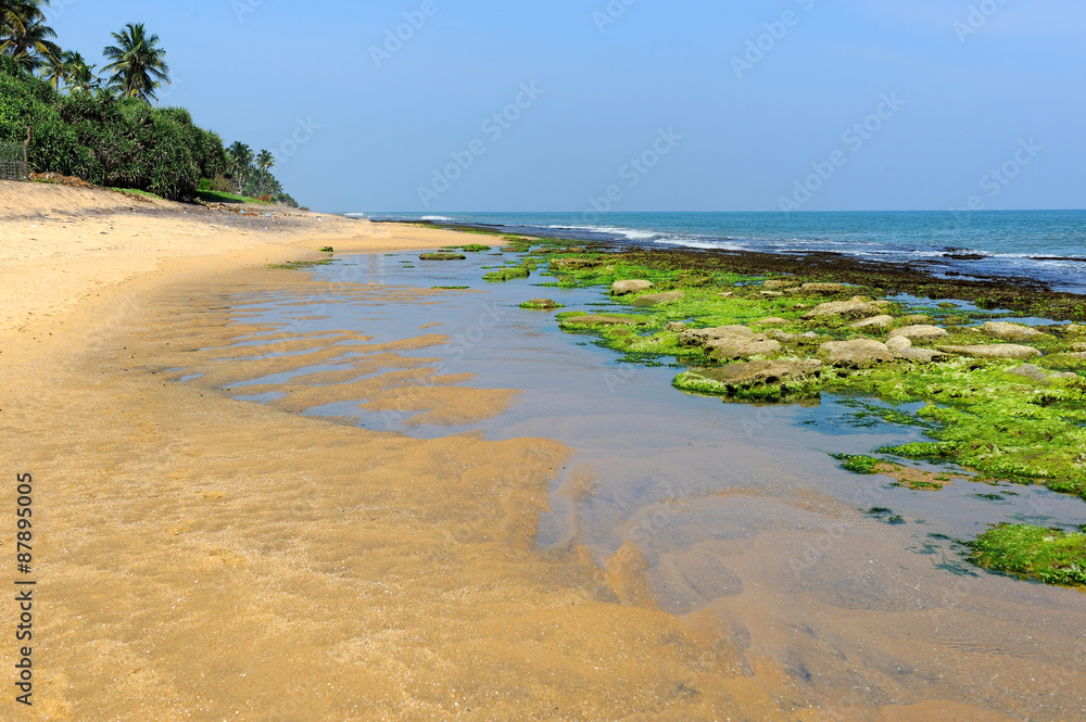 热带海滩