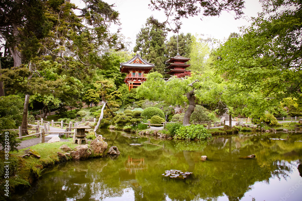 旧金山日本蒂加滕