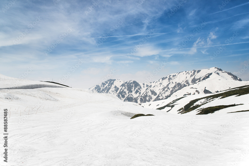 冬天雪下的高山