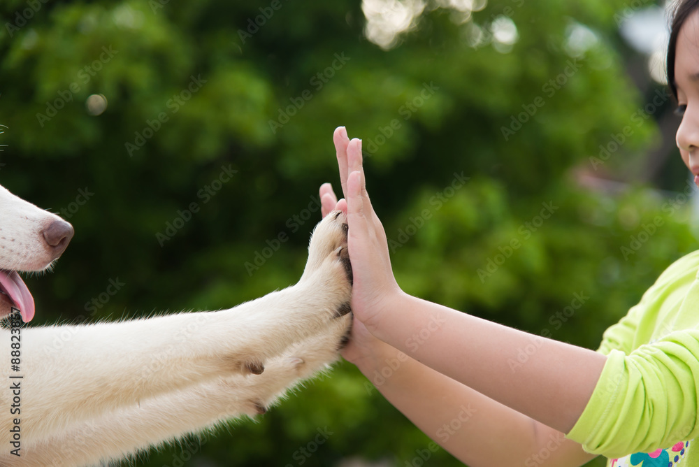 给我五个——小狗用爪子压住女孩的手