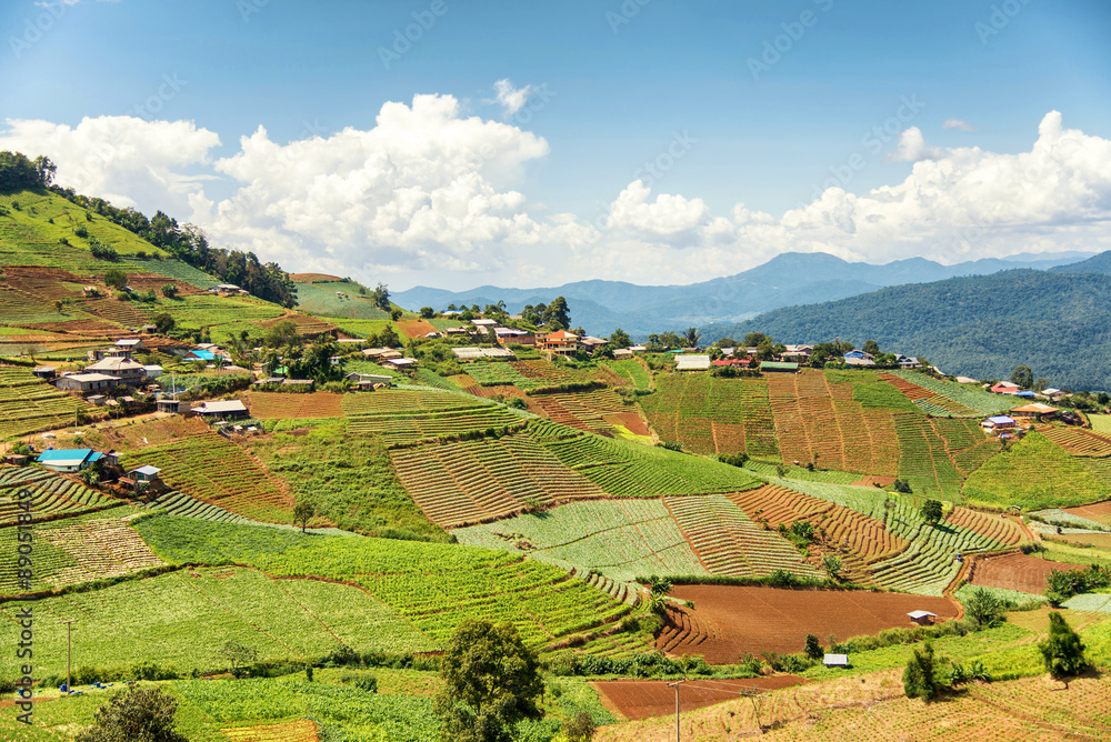 泰国暹粒市孟加山