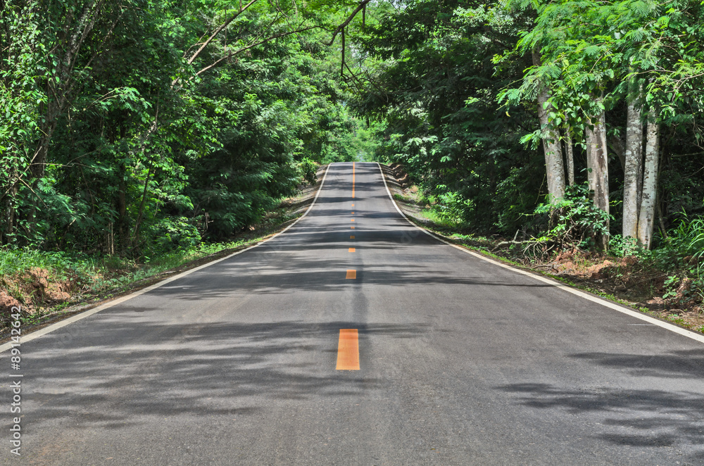 道路与绿色森林