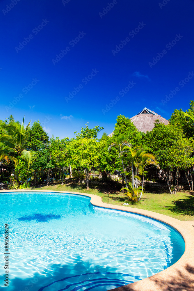 Sunshine at the Pool