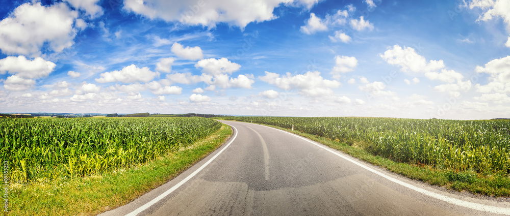 乡村公路和玉米地的全景景观