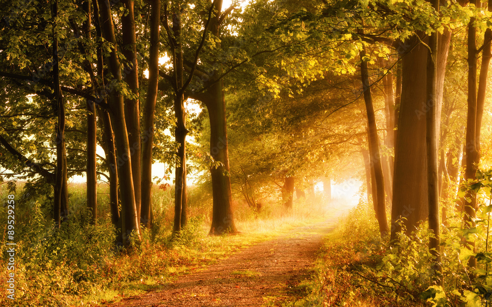 Malerischer Herbst lädt zum Wandern ein