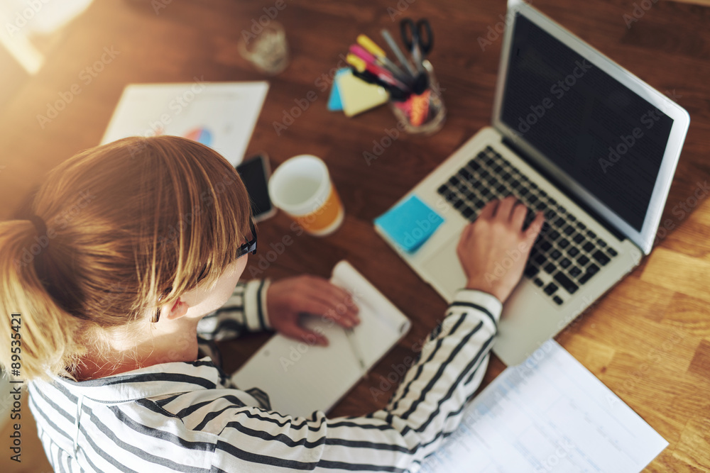 Young female entrepreneur working in a home office