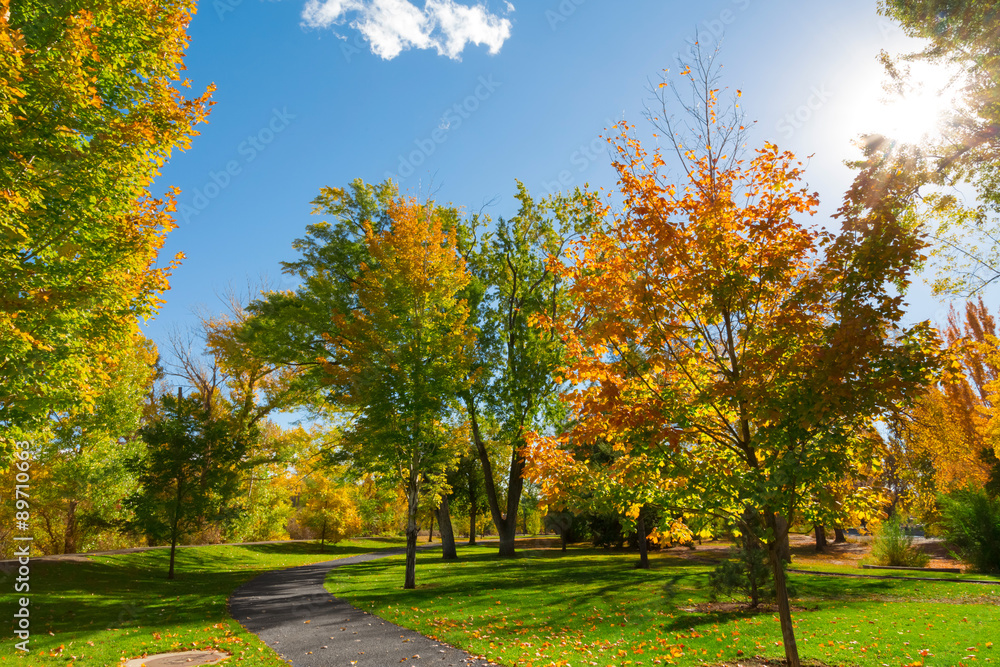 Early autumn in the park