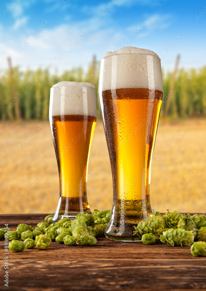 Beer glasses with hop-field on background