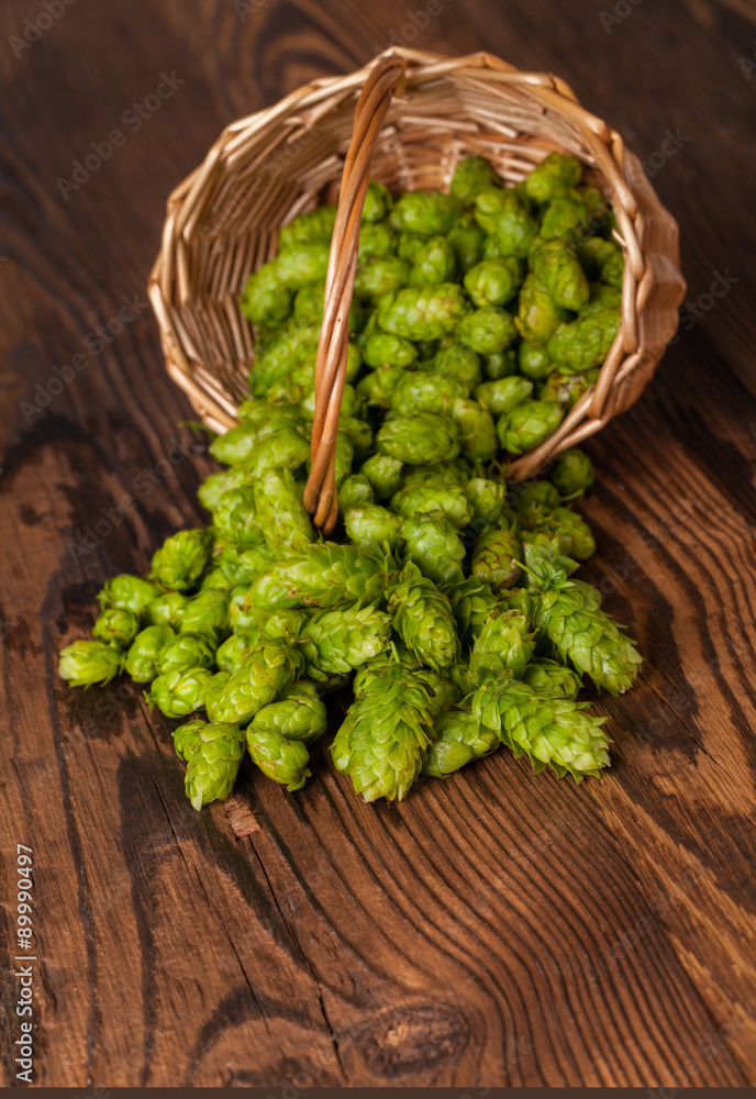 Fresh green hops on wooden desk