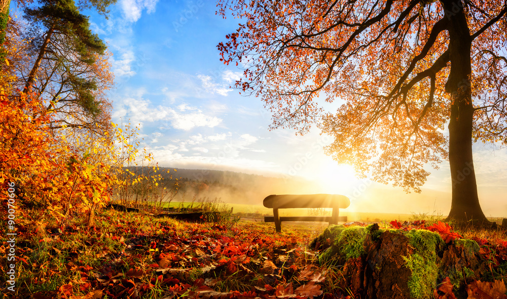 Zauberhafte Herbstszene