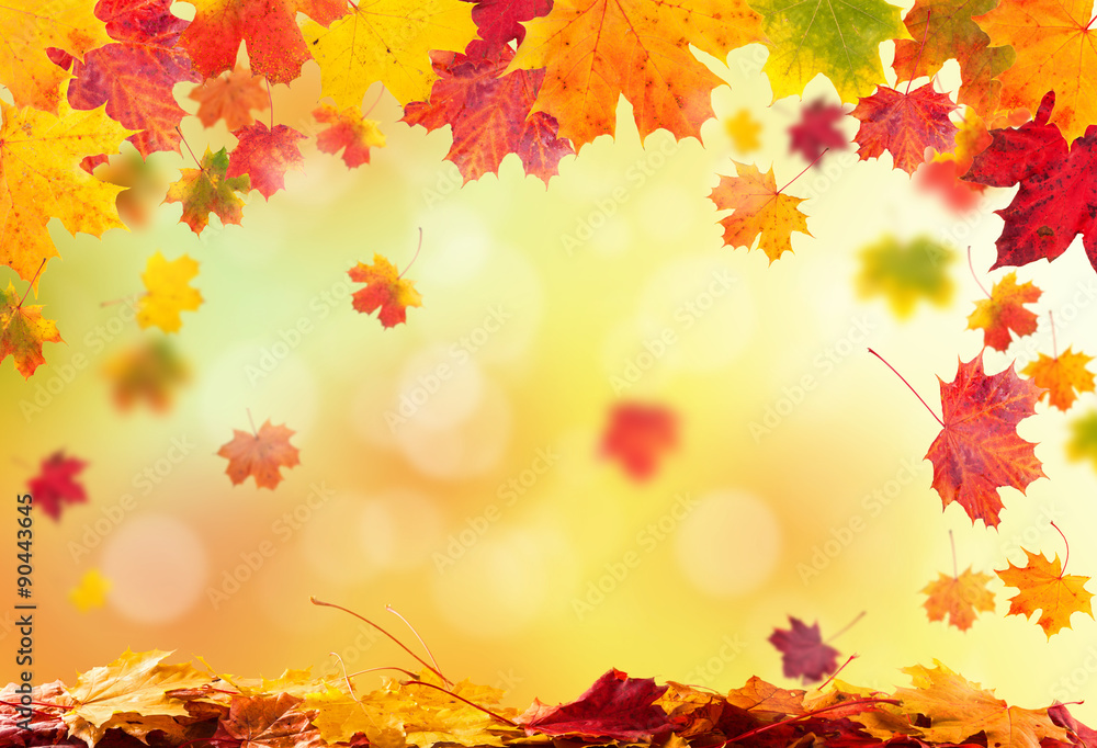 autumn leaves background