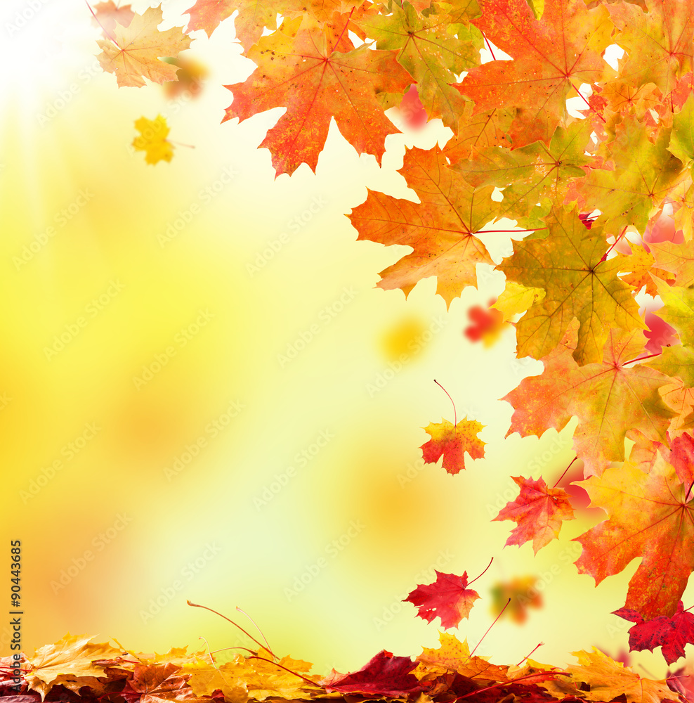 autumn leaves background