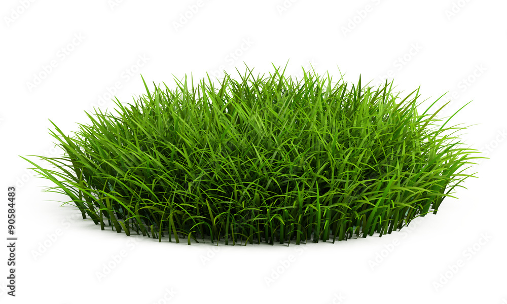 Round patch of fresh grass isolated on white