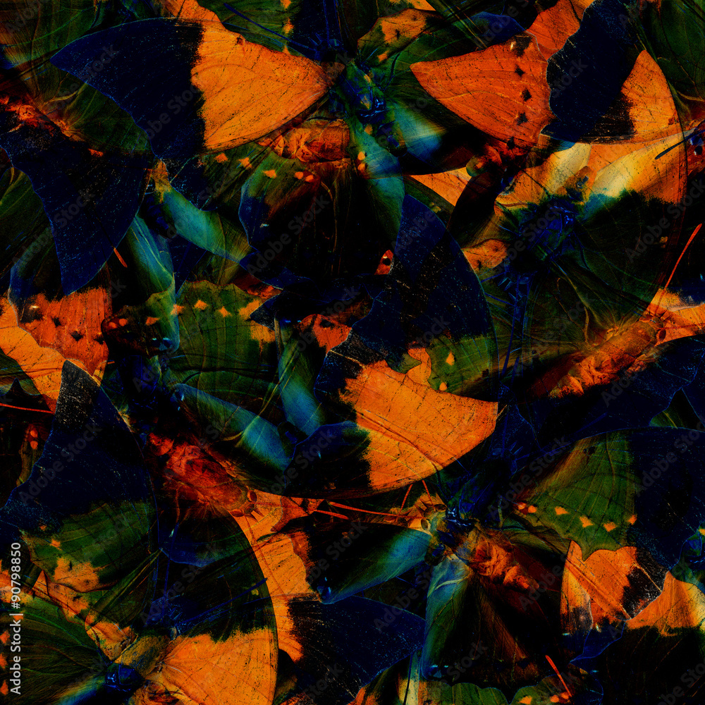 Beautiful Dark Blue and Orange Background Texture made of Tawny