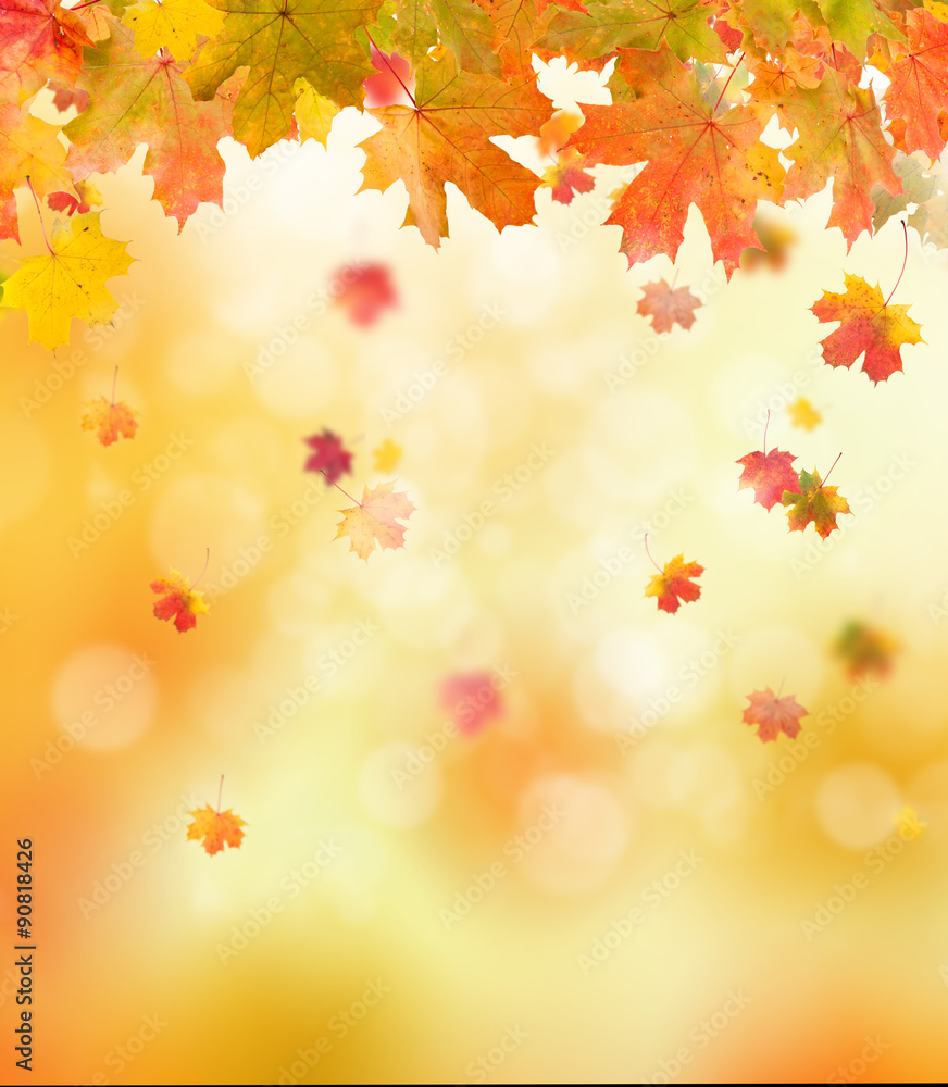 autumn background