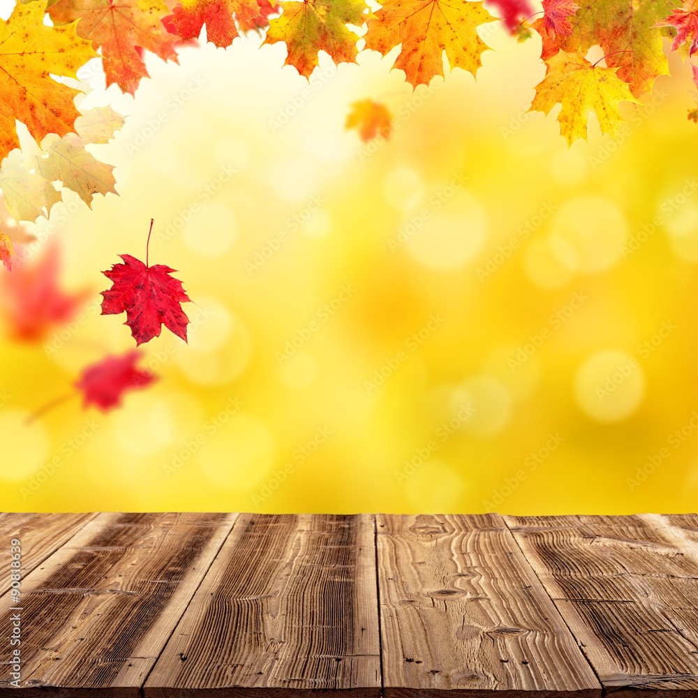 autumn background