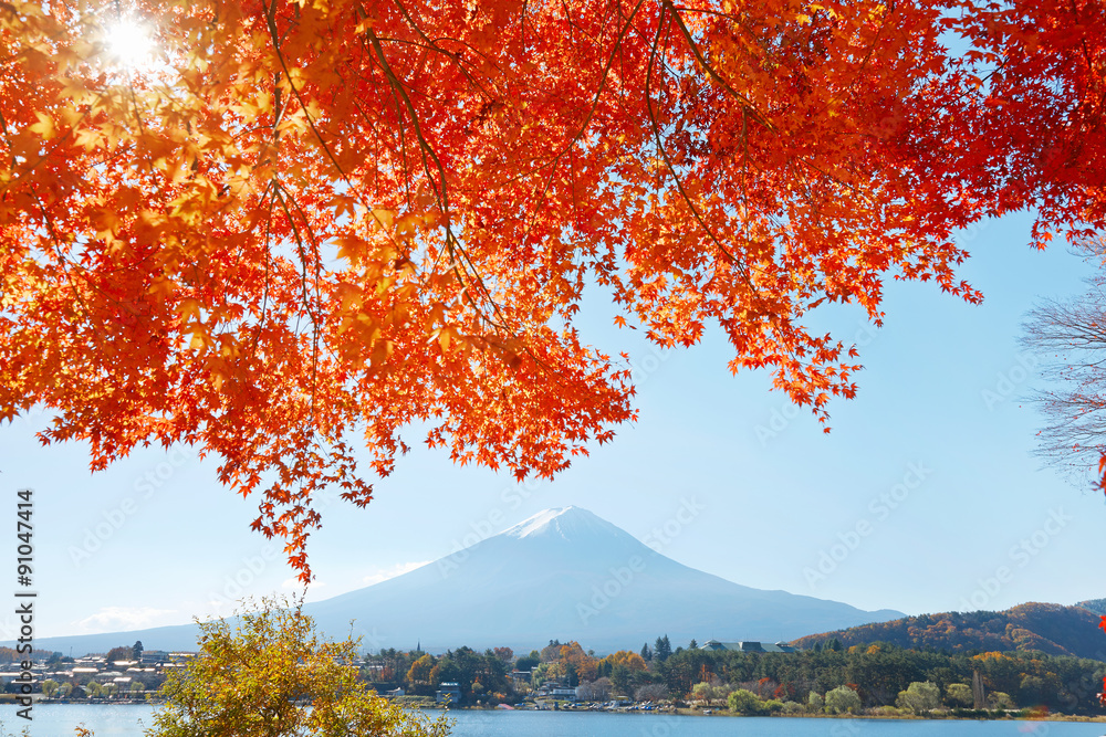 紅葉と富士山