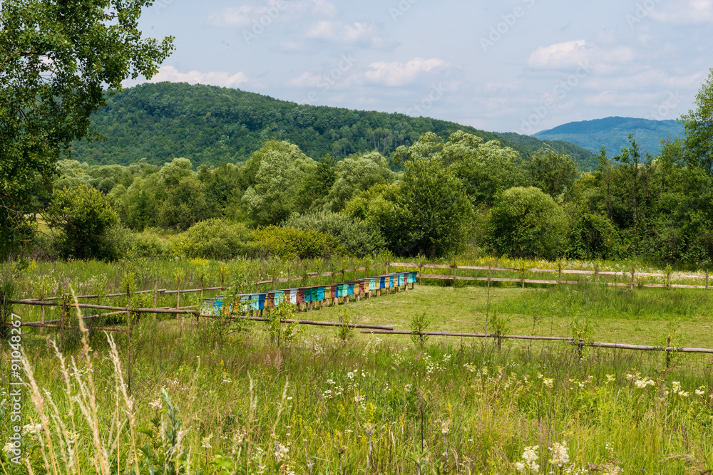 Rural wooden beehives