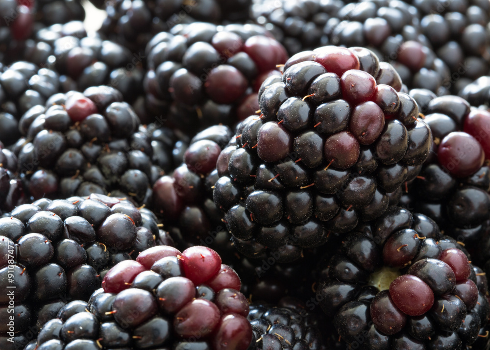 Blackberries