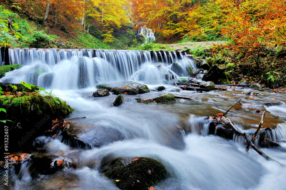 Autumn forest waterfall