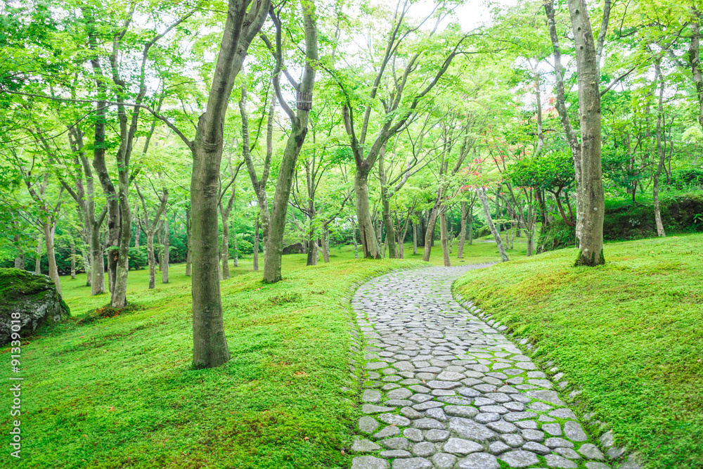 箱根博物馆的苔藓花园