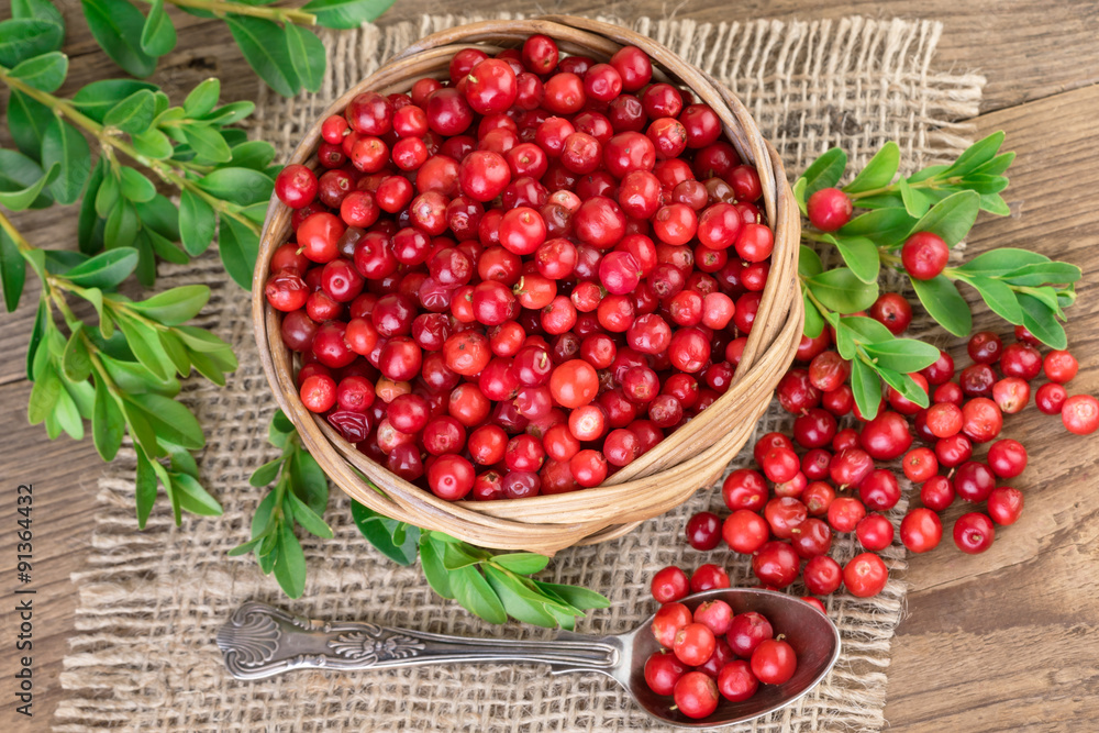 Lingonberry basket top view