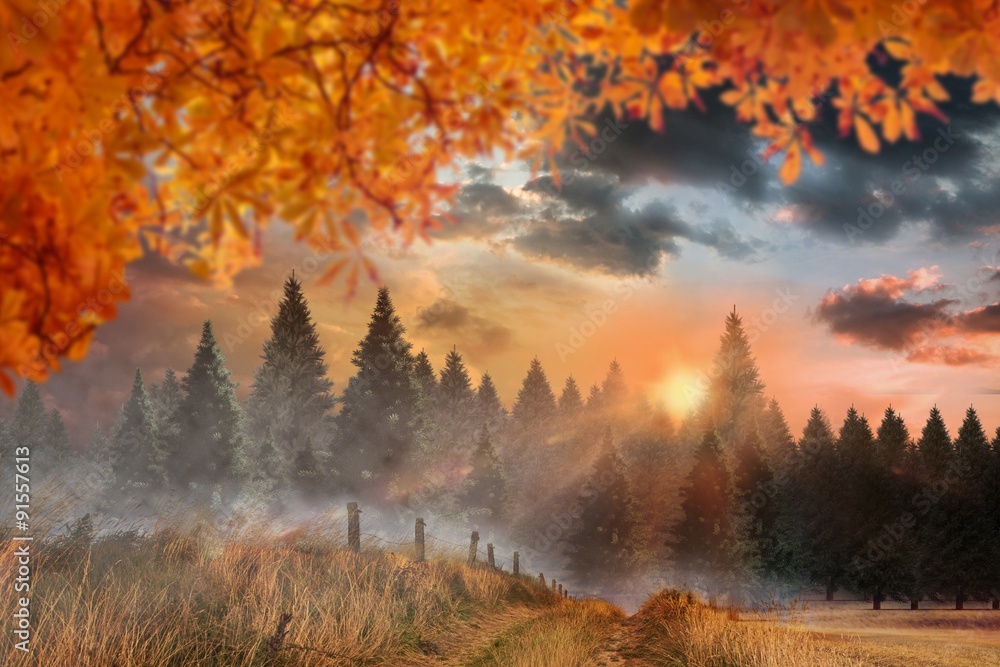 Composite image of autumn leaves