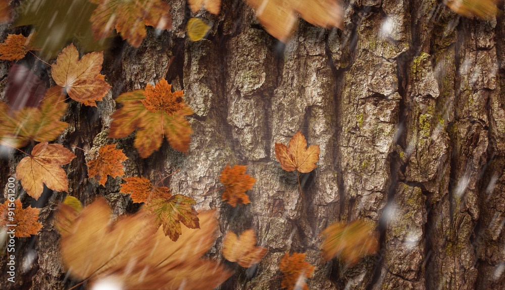 Composite image of autumn leaves