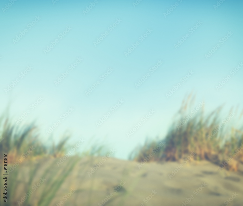 Defocused Sand Dunes Grass Wild Summer Shore Concept