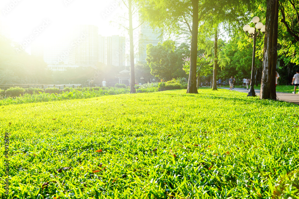 green park under sunshine