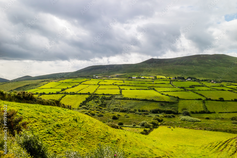 アイルランドの典型的な風景 Scene Ring of Kelly in Ireland