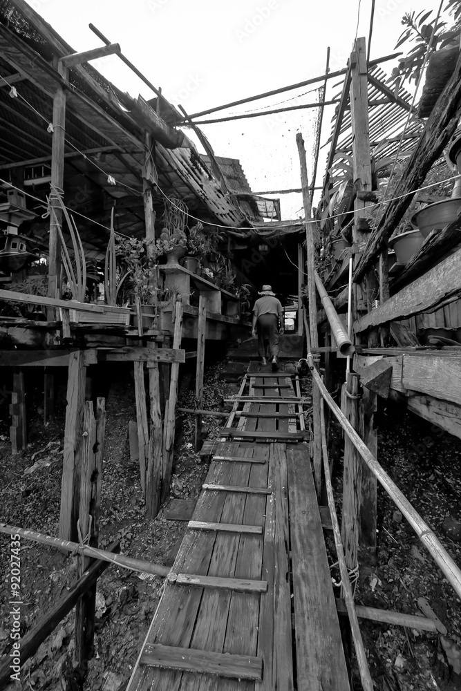 Old wood walkway