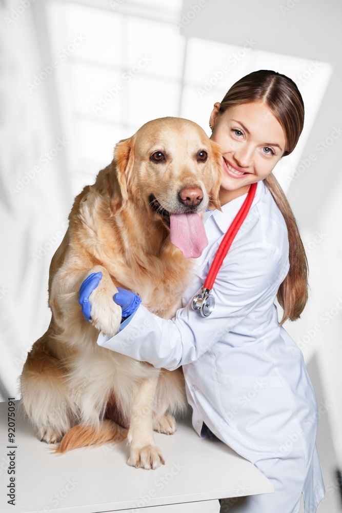 Veterinarian and pet.