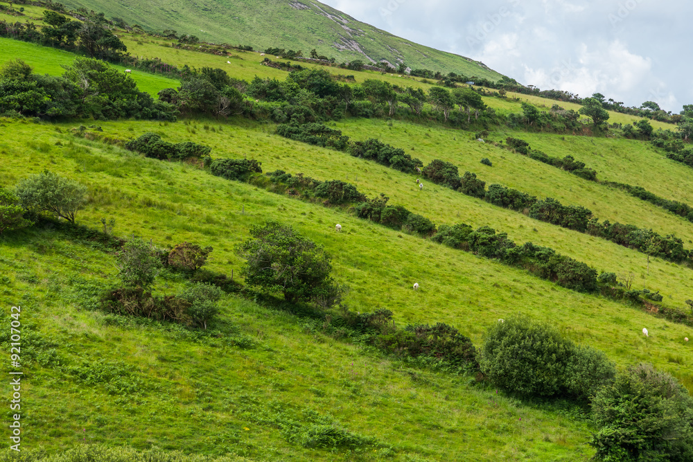 アイルランドの典型的な風景 Scene Ring of Kelly in Ireland