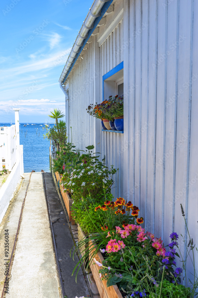 cabins aside a lane of a little country