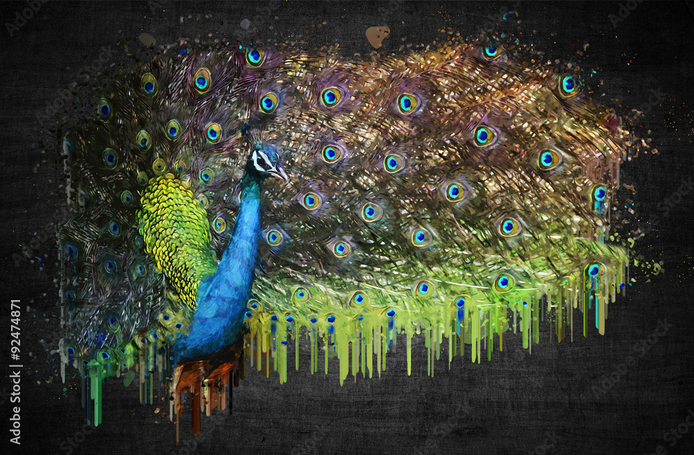 Peacock on dark background. Paint effect