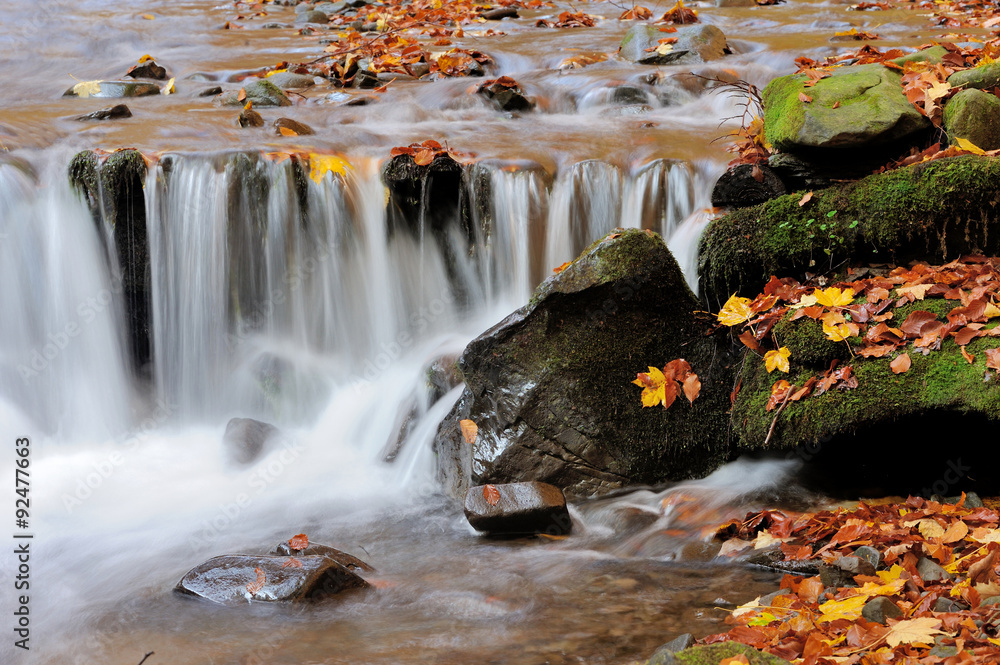 Autumn forest waterfall