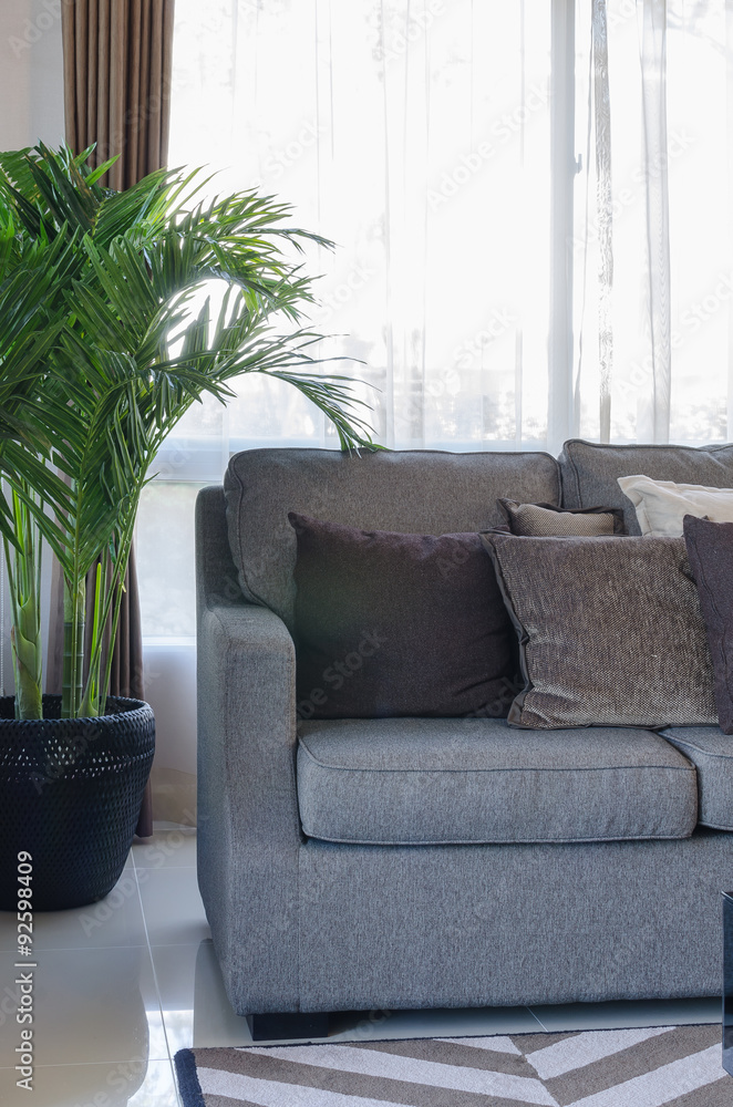 grey modern sofa with pillows and black vase of plants