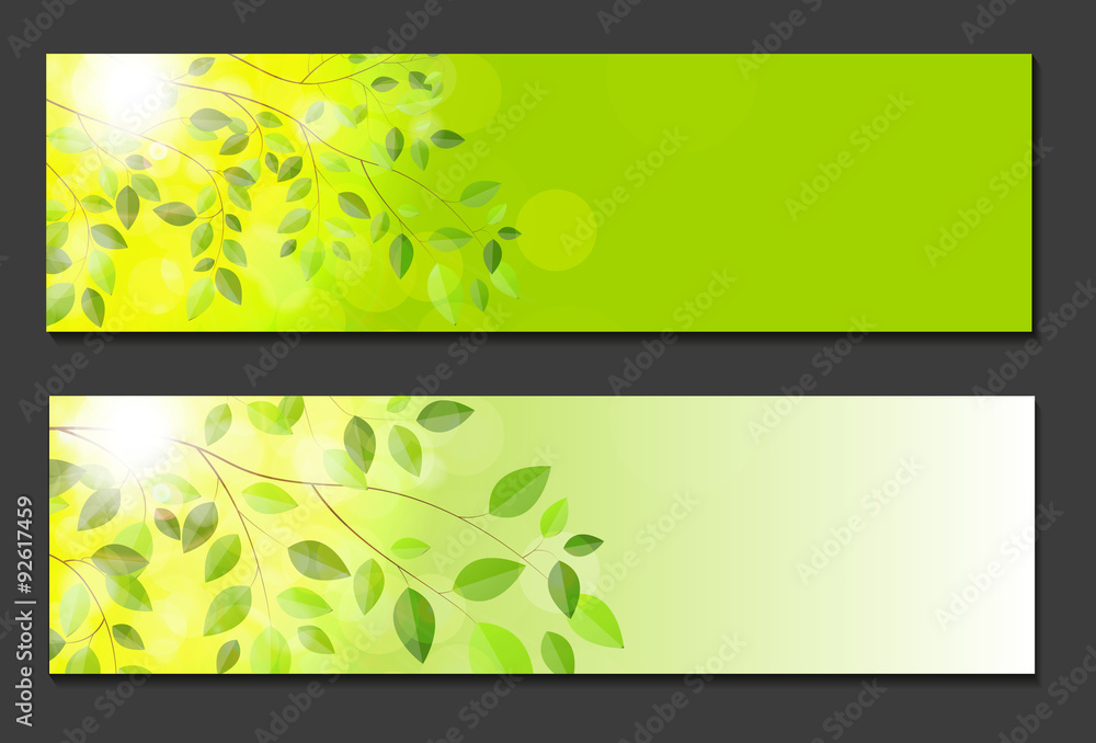 Shiny Spring Natural Leaves Background. Vector Illustration