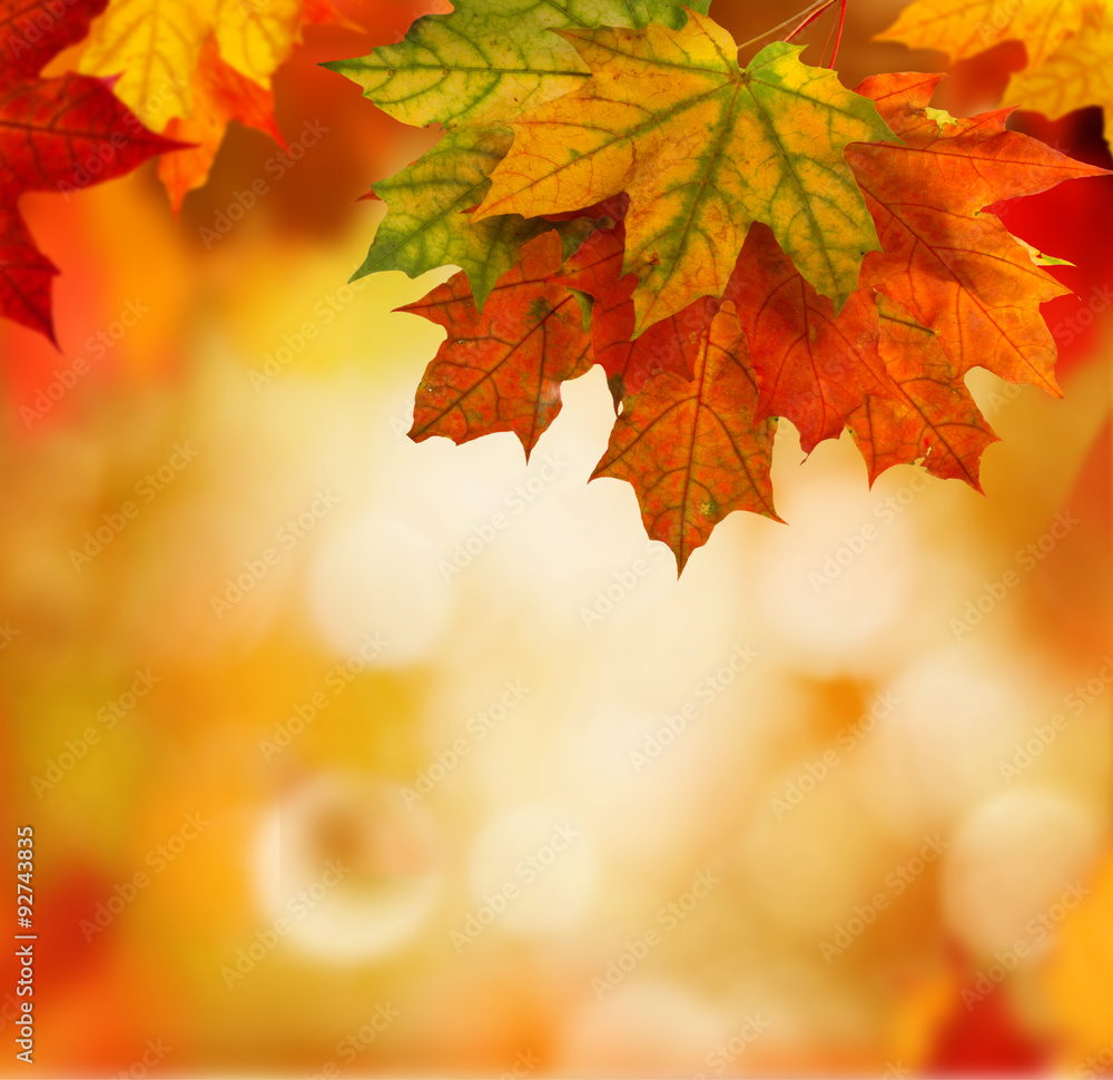 autumn background